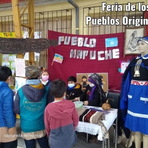 Feria de los Pueblos Originarios 2022